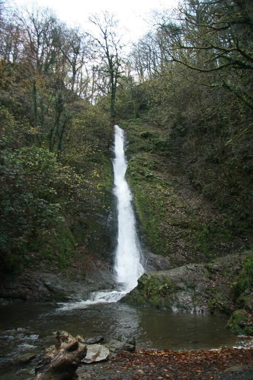 Lydford House Otel Dış mekan fotoğraf
